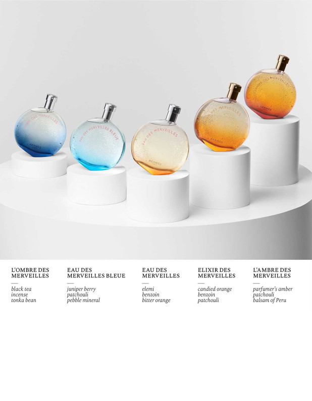 L'Ombre des Merveilles Edp